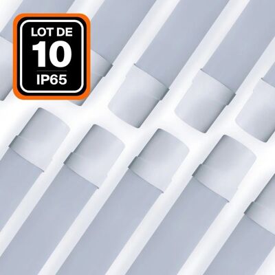 EUROPALAMP - Tira de LED 120cm - Ahorro energético, Impermeable EUROPALAMP - Tira de LED 120cm - Ahorro energético, Impermeable