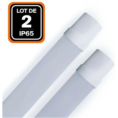EUROPALAMP Tubo LED 36W 6000K - Impermeabile 120cm EUROPALAMP Tubo LED 36W 6000K - Impermeabile 120cm